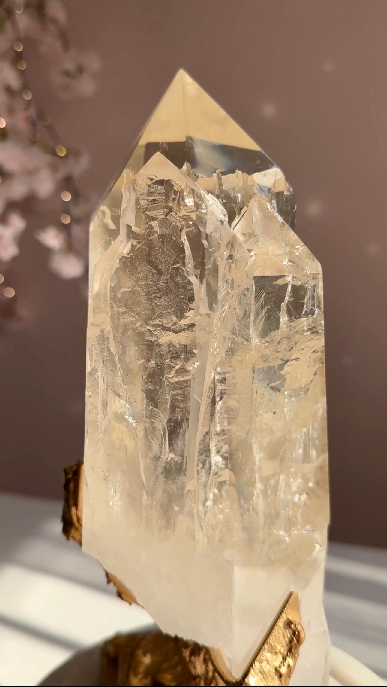 Rare Triple Cathedral Light Citrine from Bahia, Brazil Collector Quality • Exceptional Clarity • One-of-a-Kind
