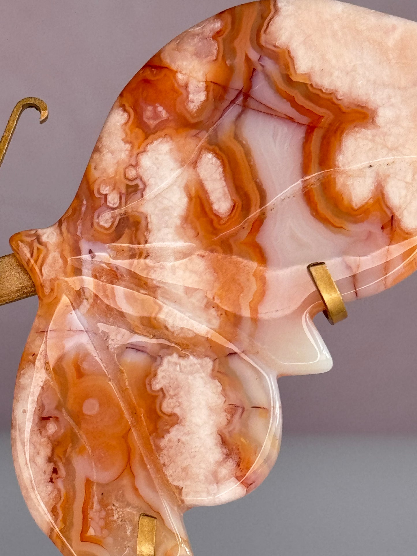Carnelian Butterfly