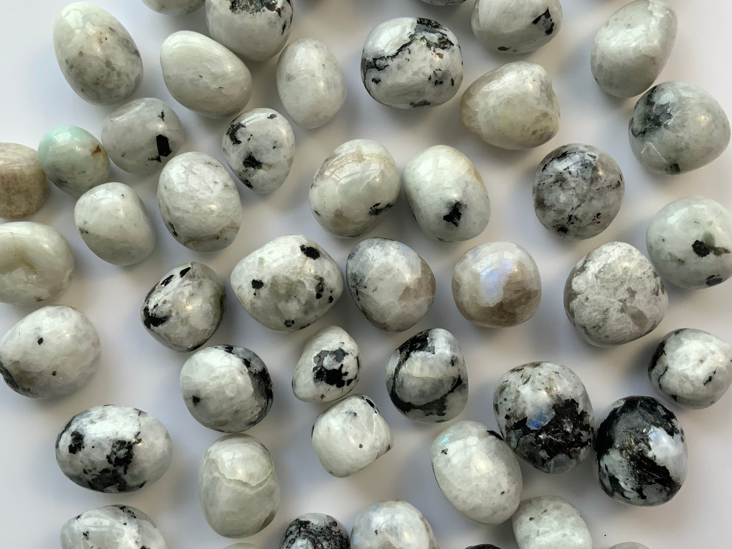 Rainbow Moonstone Tumbles – Intuition Crystal | Natural Moonstone Crystal