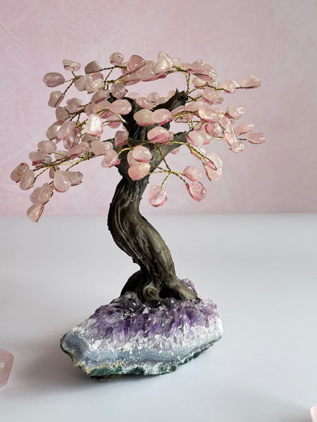 Rose Quartz Bonsai Tree on Amethyst Base