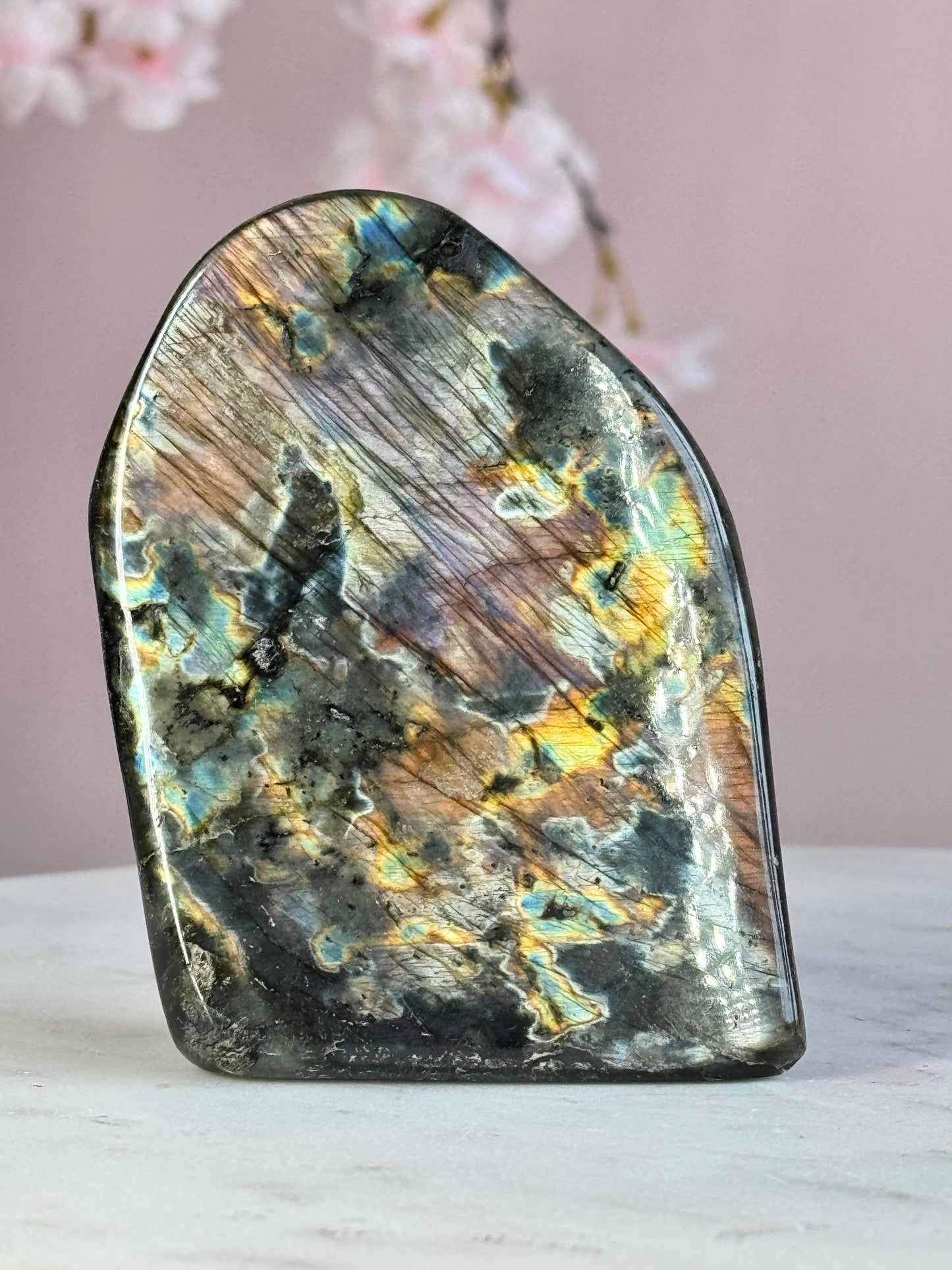 Labradorite Free-form (DD)