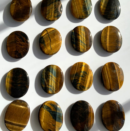 Tigers Eye Palm