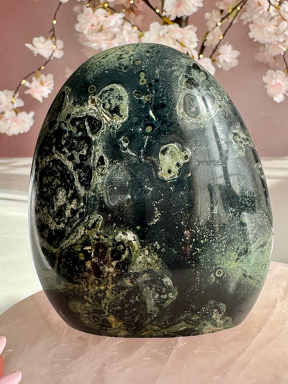 Kambaba Jasper Freeform