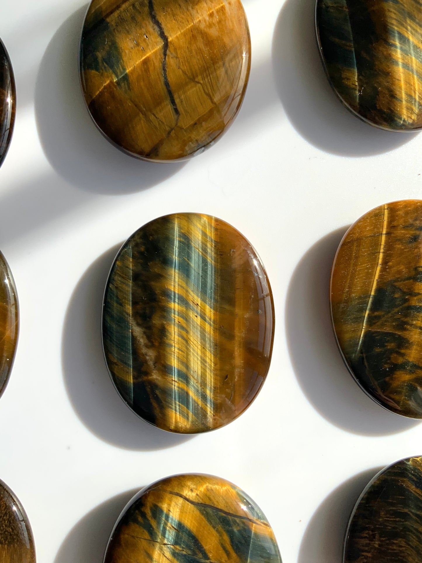 Tigers Eye Palm