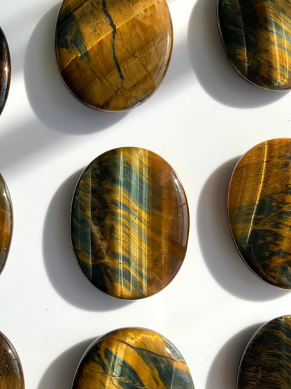 Tigers Eye Palm