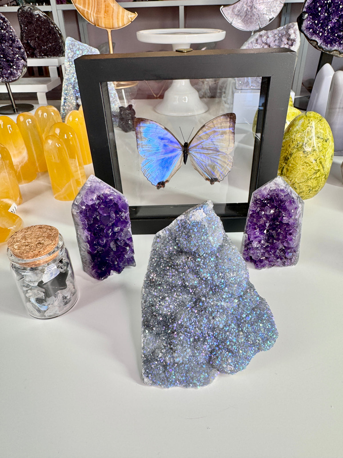 Stephanie Prism and Pebble-Thank you so Much!!!