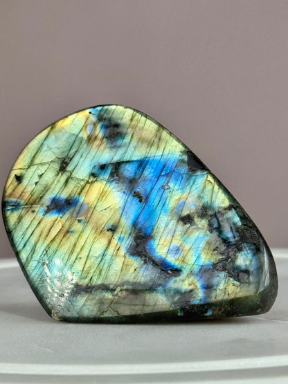 Labradorite free-form (D)