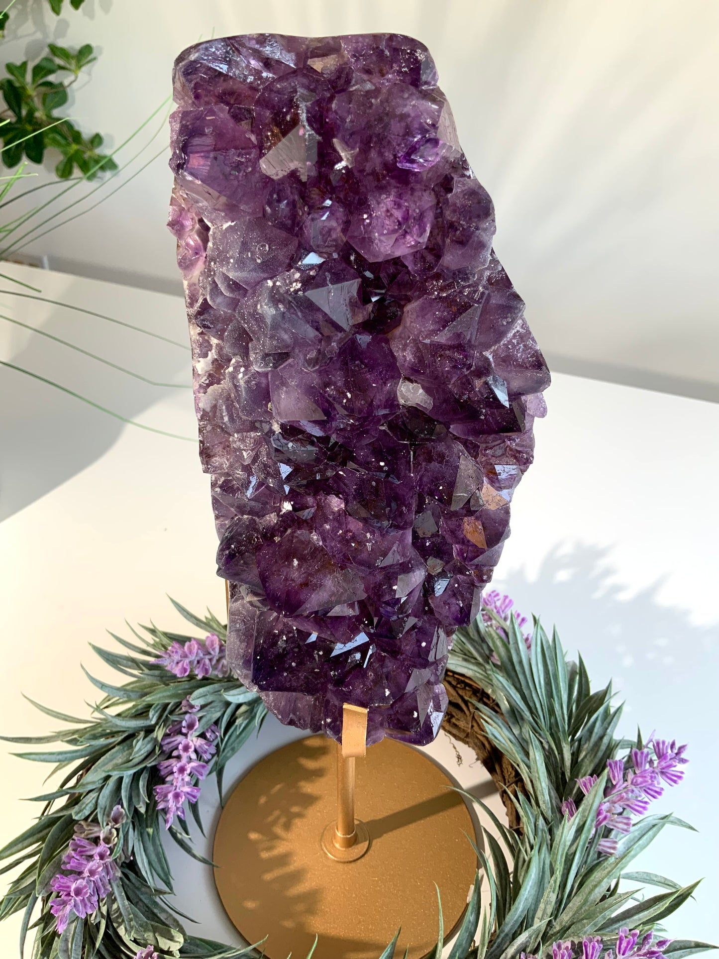 Deep Purple Amethyst Cluster with Sugar Druzy | High-Vibration Statement Crystal
