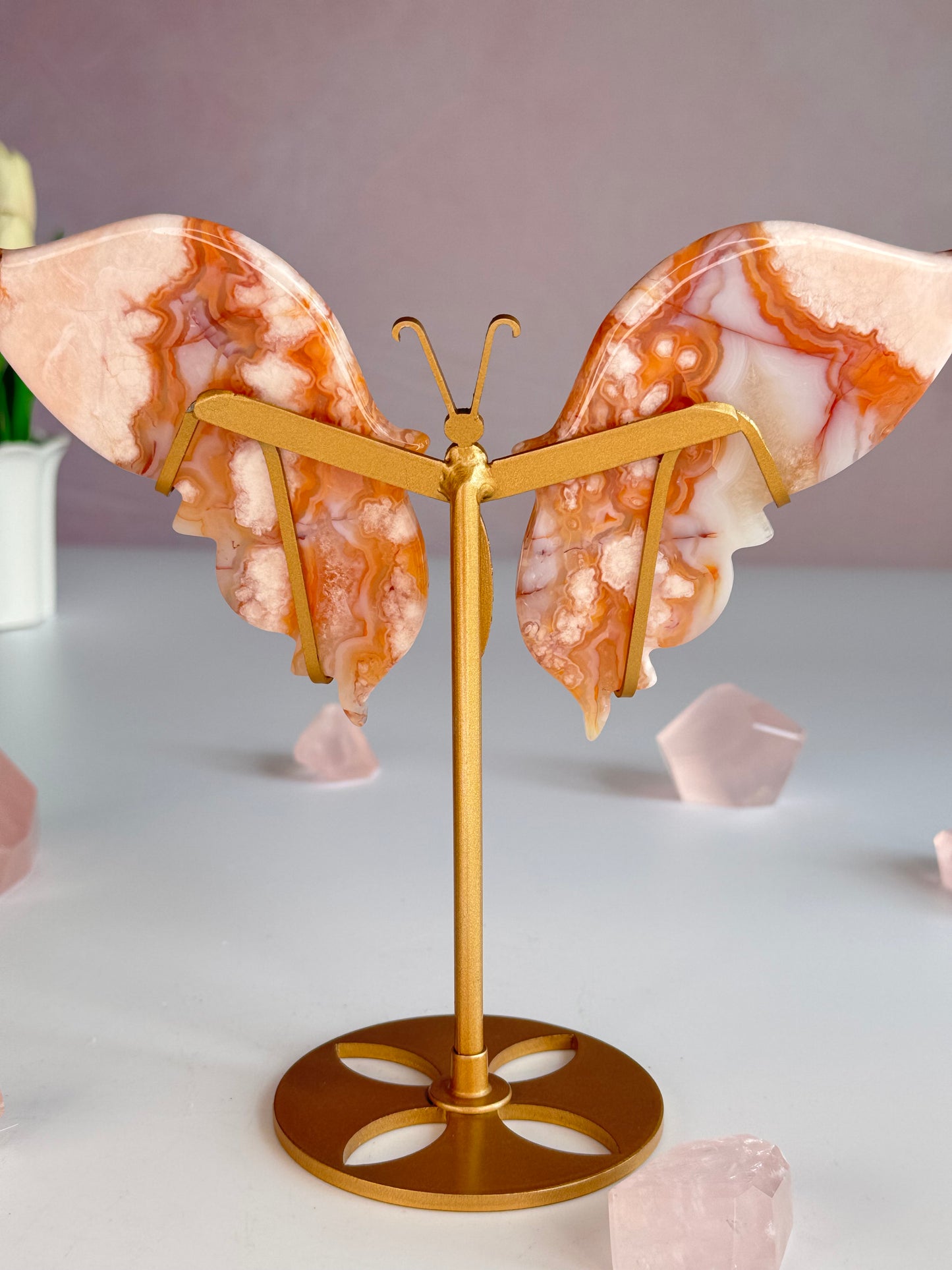 Carnelian Butterfly