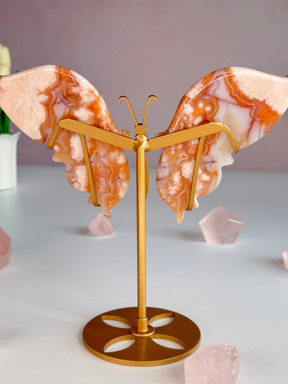 Carnelian Butterfly