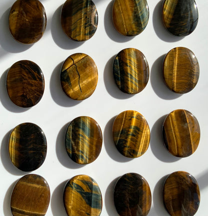 Tigers Eye Palm