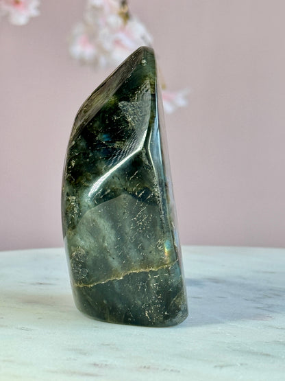 Labradorite Free-form (DD)