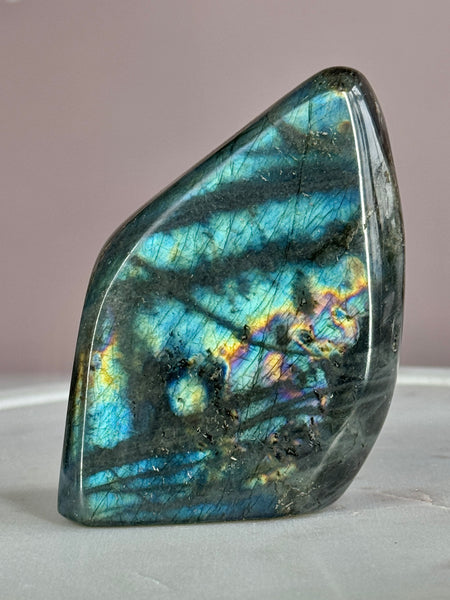 Labradorite Freeform with Brilliant Rainbow Flash (B)