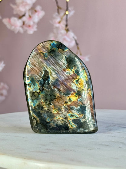 Labradorite Free-form (DD)