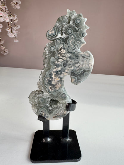 Green Amethyst Druzy Seahorse with Natural Stalactites