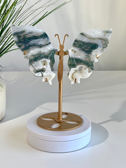 Beautiful Moss Agate Butterfly A