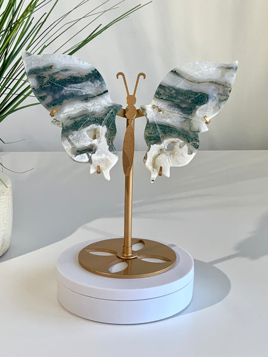 Beautiful Moss Agate Butterfly A