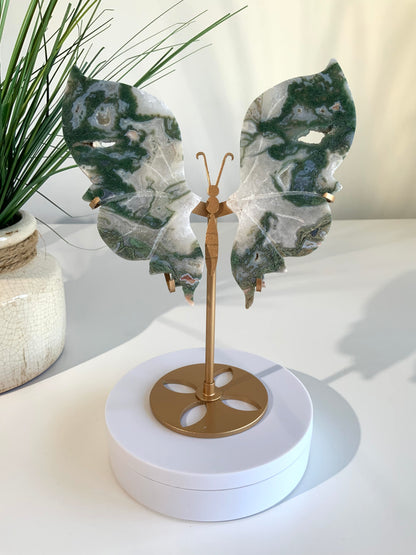 Beautiful Moss Agate Butterfly- D