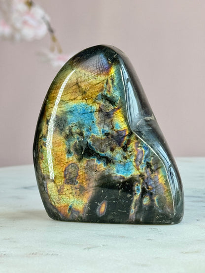 Labradorite Free-form (E)
