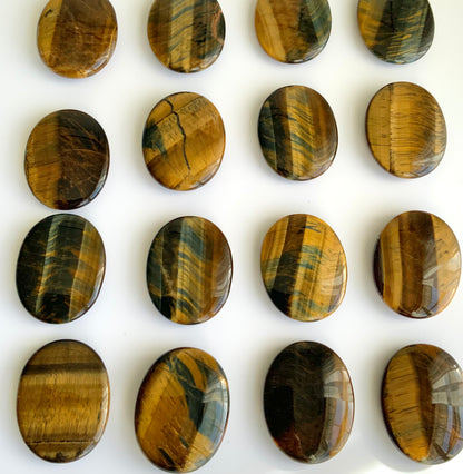 Tigers Eye Palm