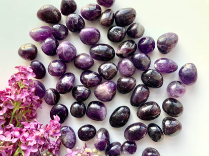 Dark Amethyst Tumbles