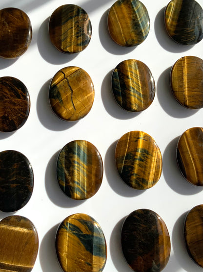Tigers Eye Palm