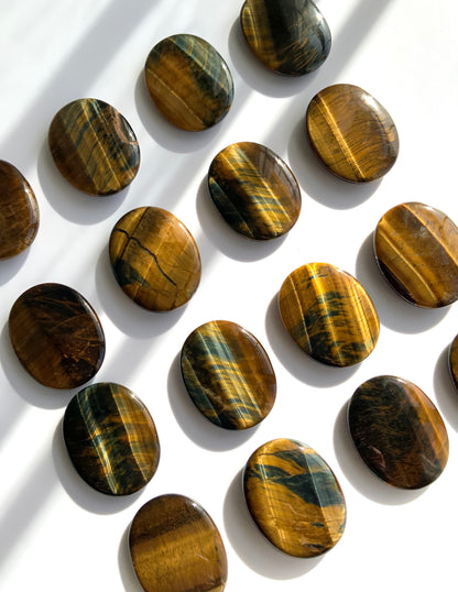Tigers Eye Palm