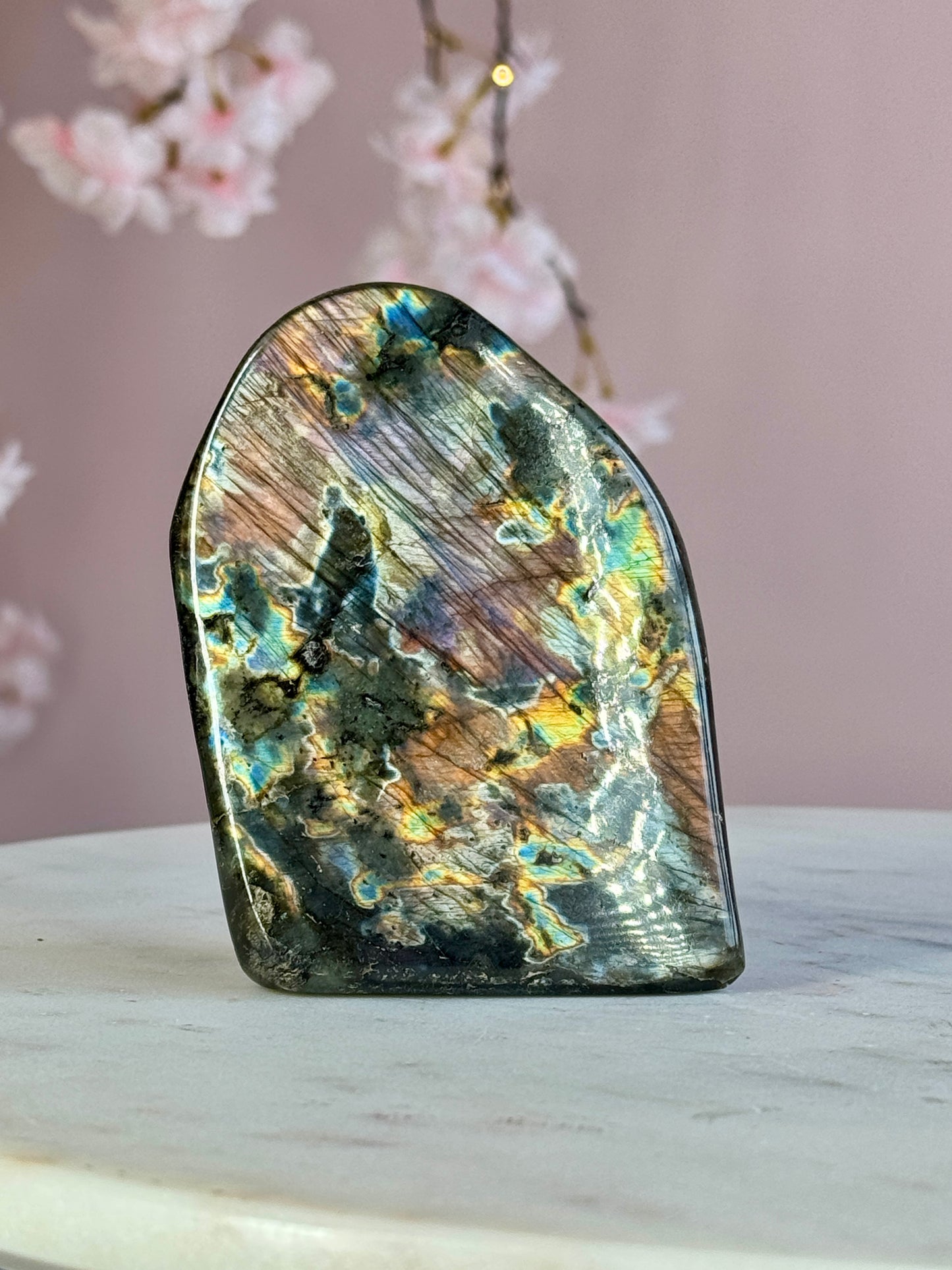 Labradorite Free-form (DD)