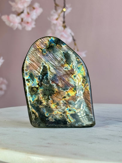 Labradorite Free-form (DD)