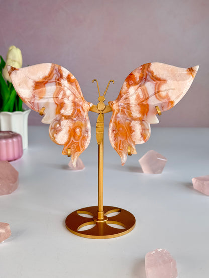 Carnelian Butterfly