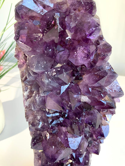 Deep Purple Amethyst Cluster with Sugar Druzy | High-Vibration Statement Crystal