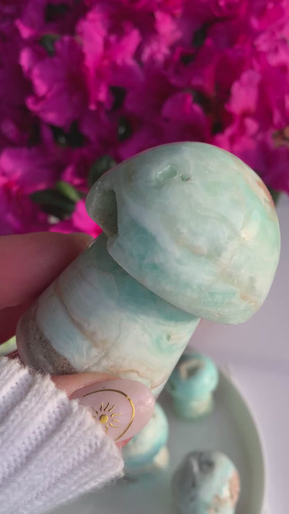 Caribbean Calcite Mushroom Carving