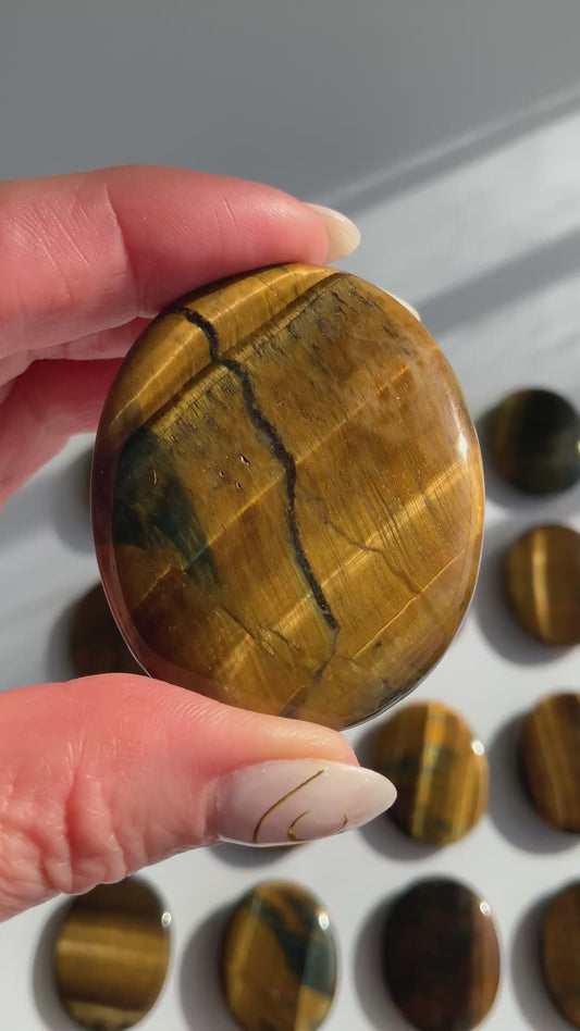 Tigers Eye Palm