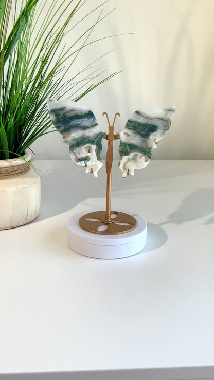 Beautiful Moss Agate Butterfly A