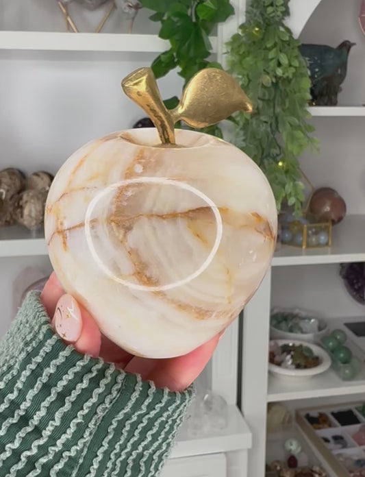 Beautiful Onyx Apple