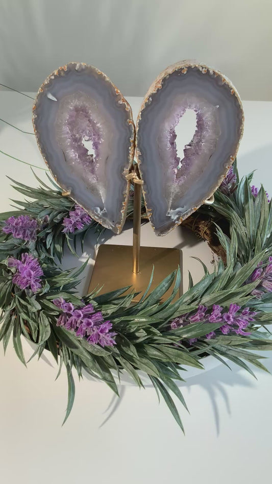 Beautiful Agate Druzy Wings